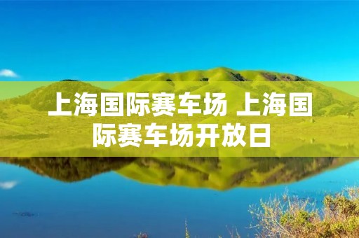 上海国际赛车场 上海国际赛车场开放日
