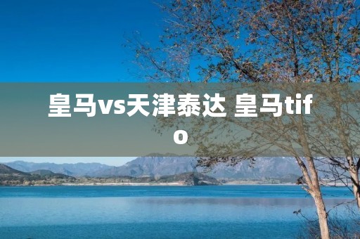皇马vs天津泰达 皇马tifo