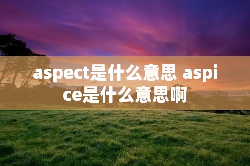 aspect是什么意思 aspice是什么意思啊