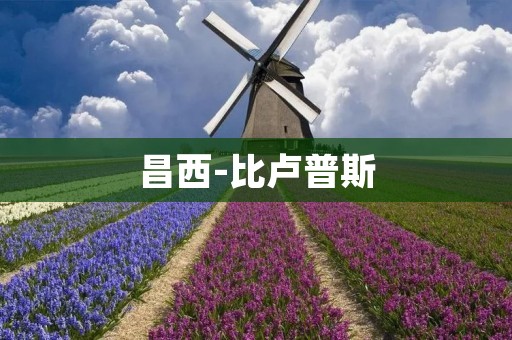 昌西-比卢普斯：未来的新能源潜力