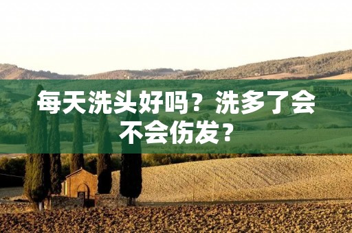 每天洗头好吗?洗多了会不会伤发?