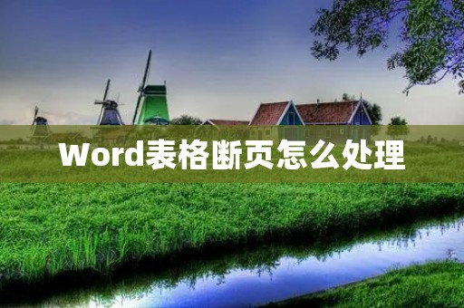 Word表格断页怎么处理