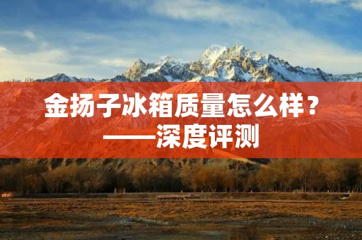 金扬子冰箱质量怎么样？——深度评测