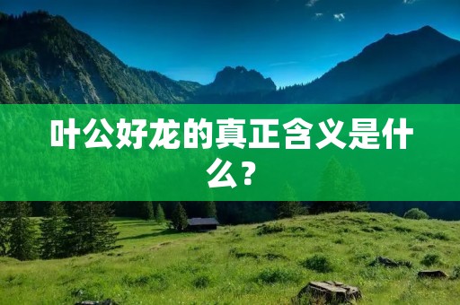 叶公好龙的真正含义是什么?