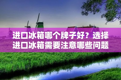 进口冰箱哪个牌子好?选择进口冰箱需要注意哪些问题? 进口冰箱哪个牌子好?选择进口冰箱需要注意哪些问题?