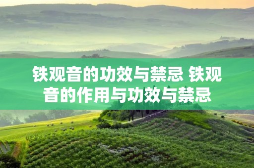铁观音的功效与禁忌 铁观音的作用与功效与禁忌