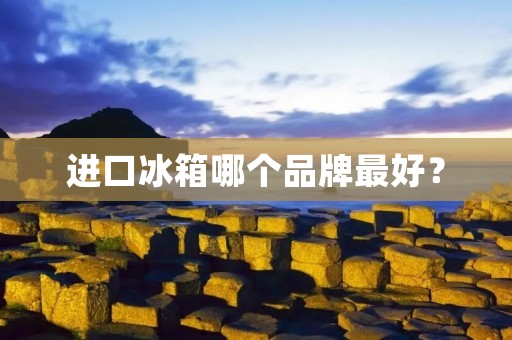 进口冰箱哪个品牌最好？