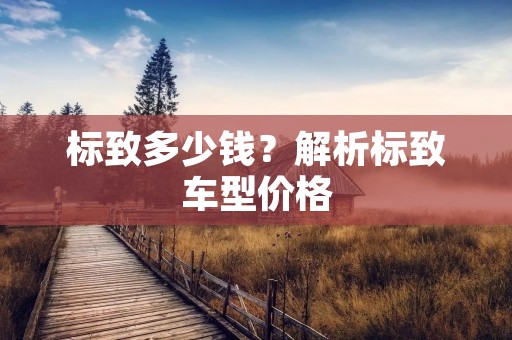 标致多少钱？解析标致车型价格