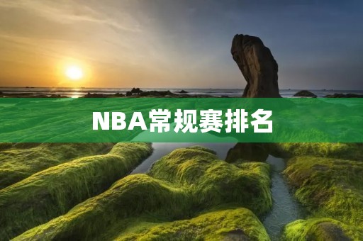 NBA常规赛排名：谁能夺得榜首？