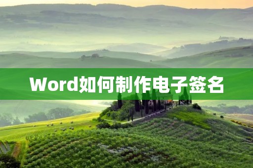 Word如何制作电子签名