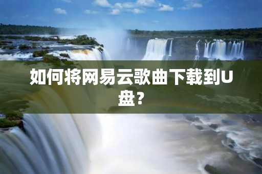如何将网易云歌曲下载到U盘？
