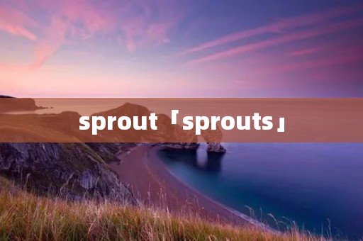sprout「sprouts」
