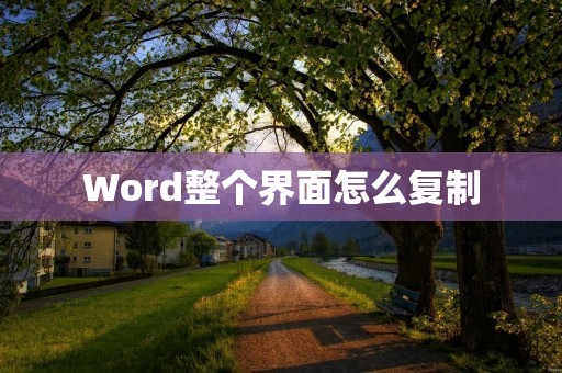 Word整个界面怎么复制