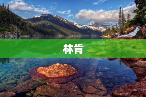 林肯：伟大总统的人生传奇