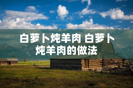 白萝卜炖羊肉 白萝卜炖羊肉的做法