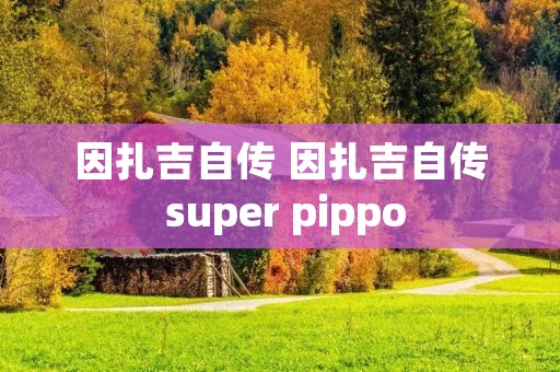 因扎吉自传 因扎吉自传 super pippo