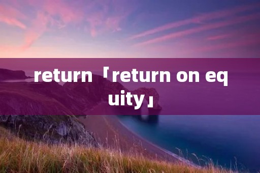 return「return on equity」