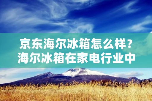 京东海尔冰箱怎么样？海尔冰箱在家电行业中一直是口碑不错的品牌之一，而京东作为国内最大的一站式电商平台之一，也是很多消费者购买家电产品的首选之一。那么，京东的海尔冰箱到底怎么样呢？下面就为大家进行详细介绍。