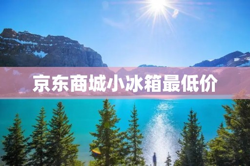 京东商城小冰箱最低价:省空间又省钱的好选择
