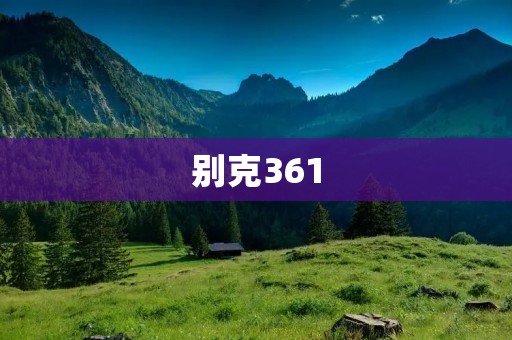 别克361:经典之作 别克361:经典之作