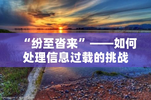 “纷至沓来”——如何处理信息过载的挑战