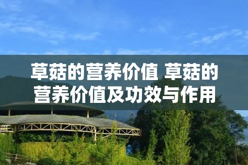草菇的营养价值 草菇的营养价值及功效与作用图片 草菇的营养价值 草菇的营养价值及功效与作用图片