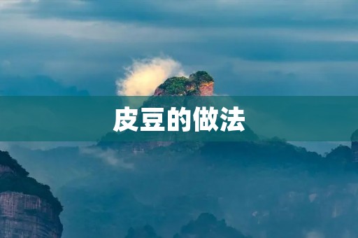 皮豆的做法：如何制作美味可口的皮豆？