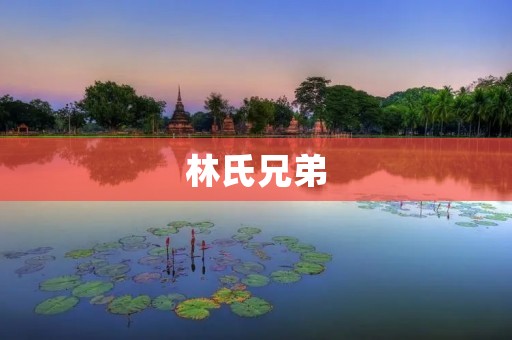 林氏兄弟:家族式企业的成功之路