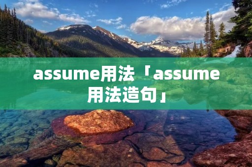 assume用法「assume用法造句」
