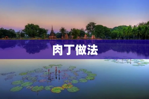 肉丁做法:美味又简单的家常菜 肉丁做法:美味又简单的家常菜