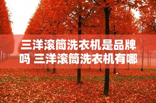 三洋滚筒洗衣机是品牌吗 三洋滚筒洗衣机有哪些型号 三洋滚筒洗衣机是品牌吗 三洋滚筒洗衣机有哪些型号