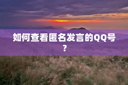 如何查看匿名发言的QQ号？