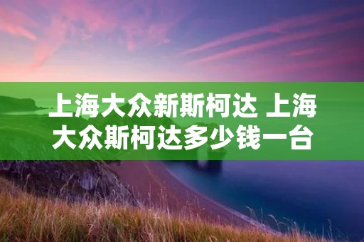 上海大众新斯柯达 上海大众斯柯达多少钱一台 上海大众新斯柯达 上海大众斯柯达多少钱一台