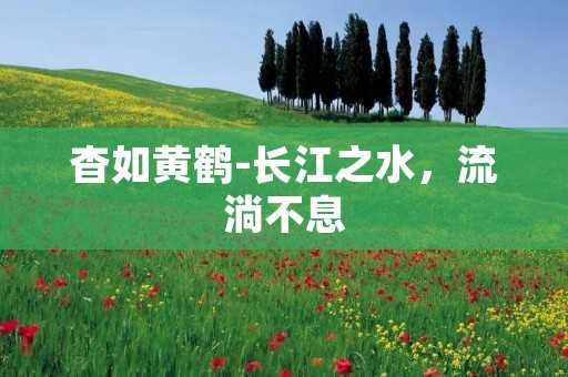 杳如黄鹤-长江之水，流淌不息
