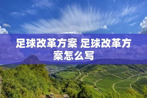 足球改革方案 足球改革方案怎么写