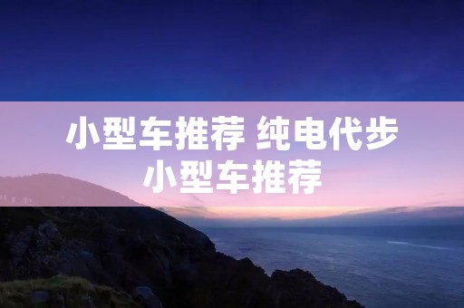 小型车推荐 纯电代步小型车推荐