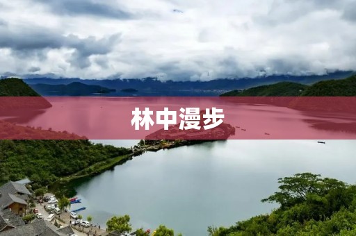 林中漫步:感受大自然的美妙