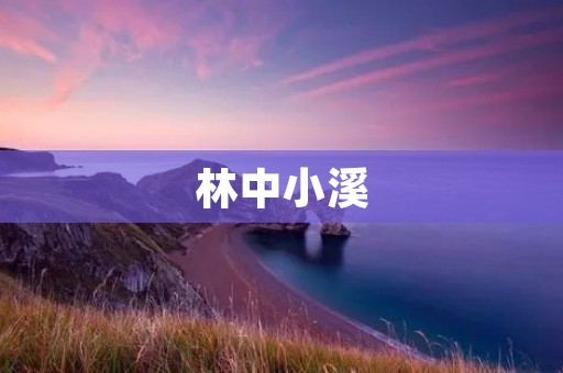 林中小溪:一处清新自然的避暑胜地