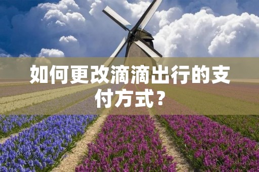 如何更改滴滴出行的支付方式?