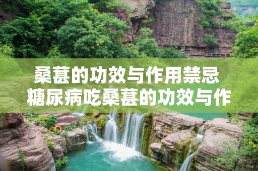 桑葚的功效与作用禁忌 糖尿病吃桑葚的功效与作用禁忌
