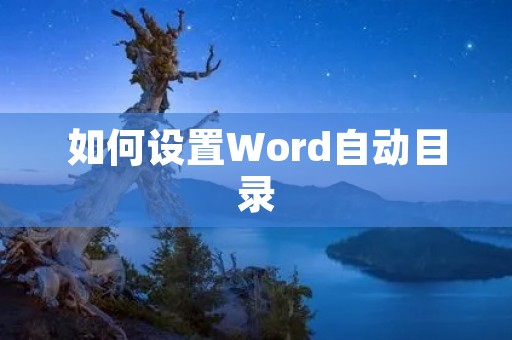 如何设置Word自动目录