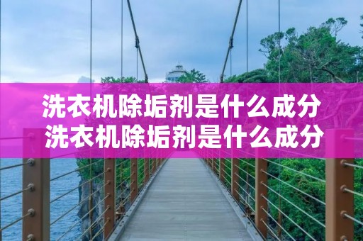 洗衣机除垢剂是什么成分 洗衣机除垢剂是什么成分组成的