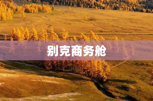 别克商务舱：舒适出行的理想选择