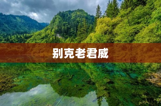 别克老君威：豪华的美式座驾