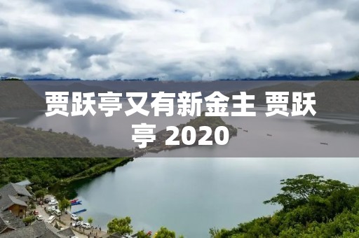 贾跃亭又有新金主 贾跃亭 2020