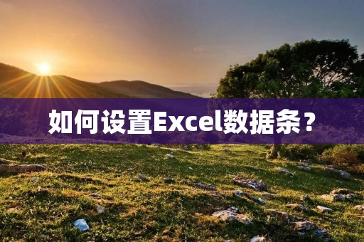 如何设置Excel数据条?