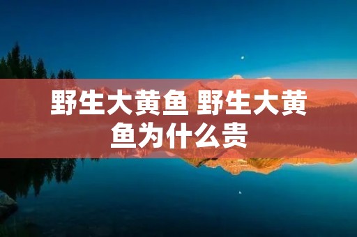 野生大黄鱼 野生大黄鱼为什么贵 野生大黄鱼 野生大黄鱼为什么贵