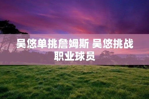 吴悠单挑詹姆斯 吴悠挑战职业球员