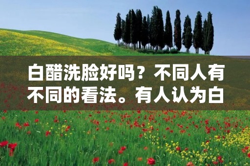 白醋洗脸好吗?不同人有不同的看法。有人认为白醋可以有效地去除脸上的污垢和油脂,还可以缩小毛孔,让肌肤更加光滑细腻;而另一些人则认为白醋的酸性会对肌肤造成伤害,引发过敏和皮肤炎症。那么,白醋到底适不适合用来洗脸呢?下面我们就来一起了解一下。