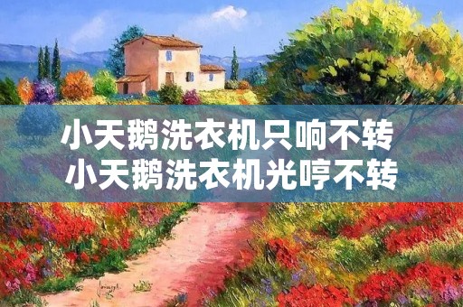 小天鹅洗衣机只响不转 小天鹅洗衣机光哼不转